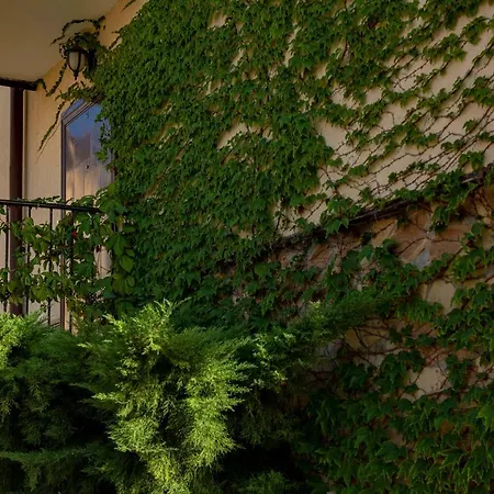 Menada Sunny Hill فيلة